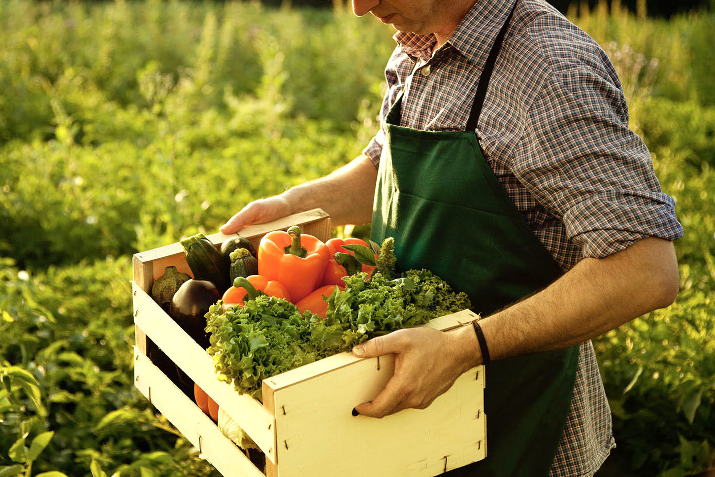 Agricoltura biologica Italia tra i protagonisti in Europa